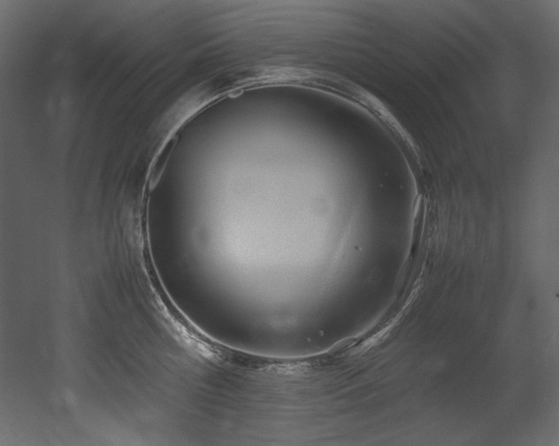 X0000052990810200507081147