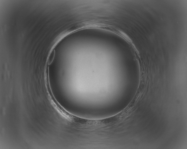 X0000052990811200507081147