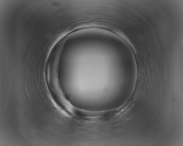 X0000052990813200507081147