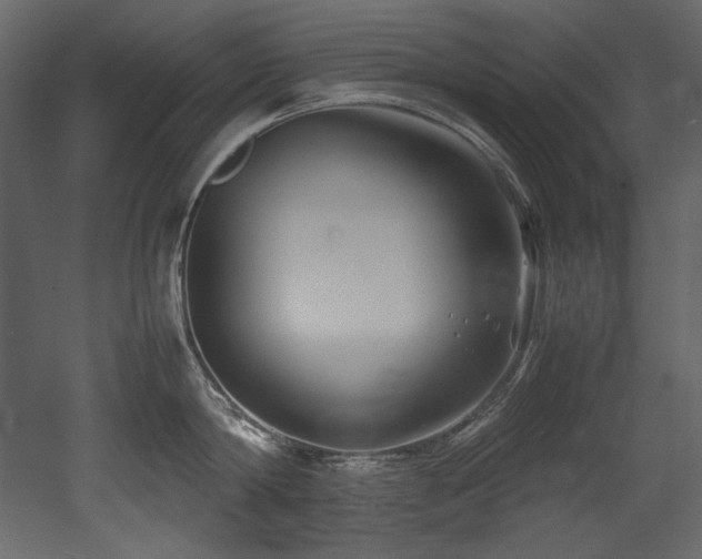 X0000052990814200507081147
