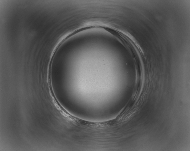 X0000052990815200507081147