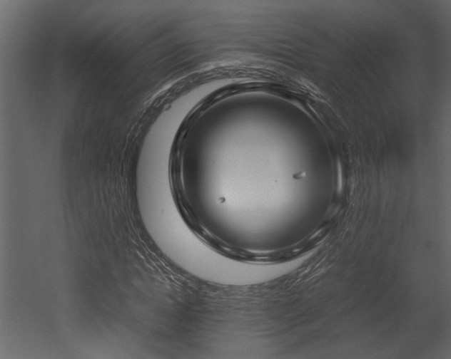 X0000052990822200507081147
