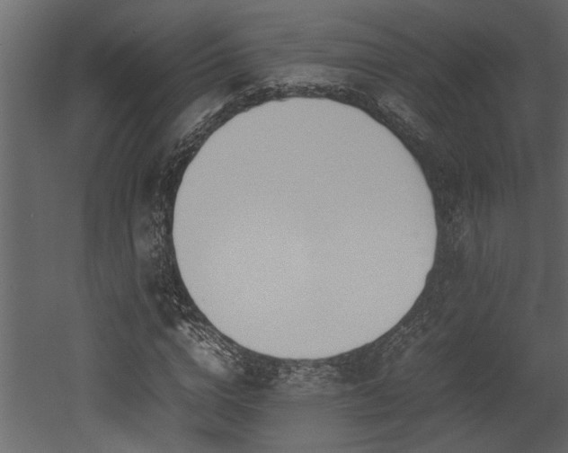 X0000052990824200507081147