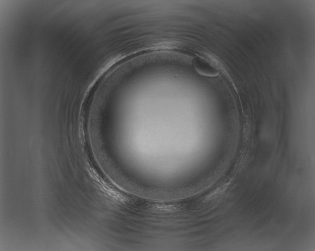 X0000052990835200507081147