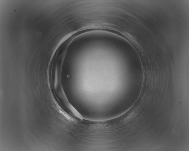 X0000052990846200507081147