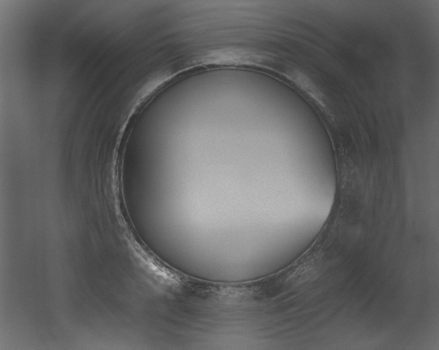 X0000052990848200507081147