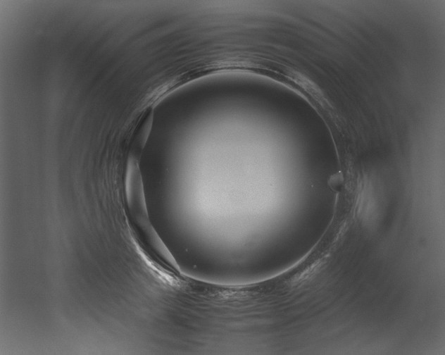 X0000052990849200507081147