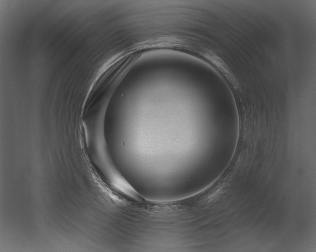 X0000052990850200507081147