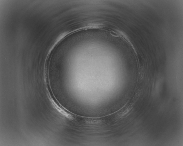 X0000052990851200507081147