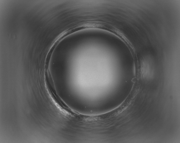 X0000052990853200507081147