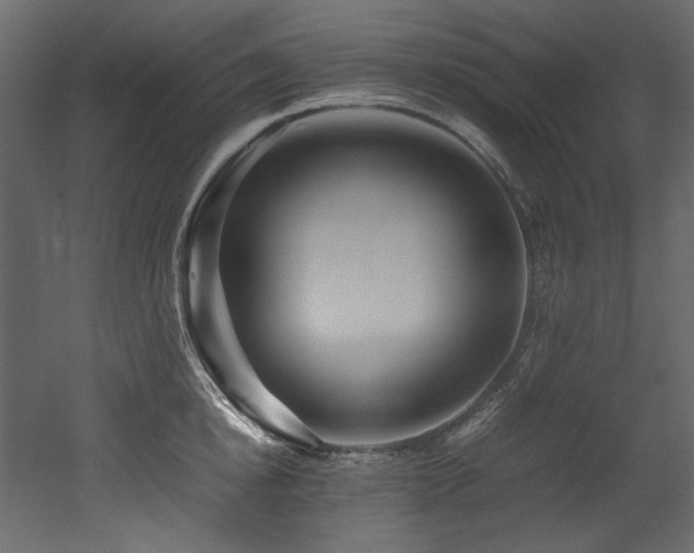 X0000052990854200507081147