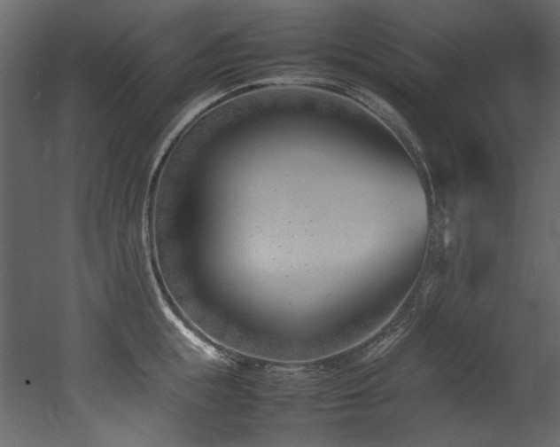 X0000052990855200507081147