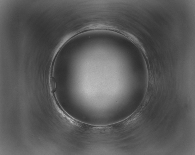 X0000052990863200507081147