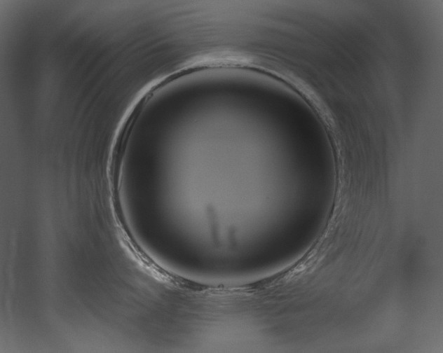 X0000052990864200507081147