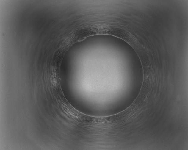 X0000052990866200507081146