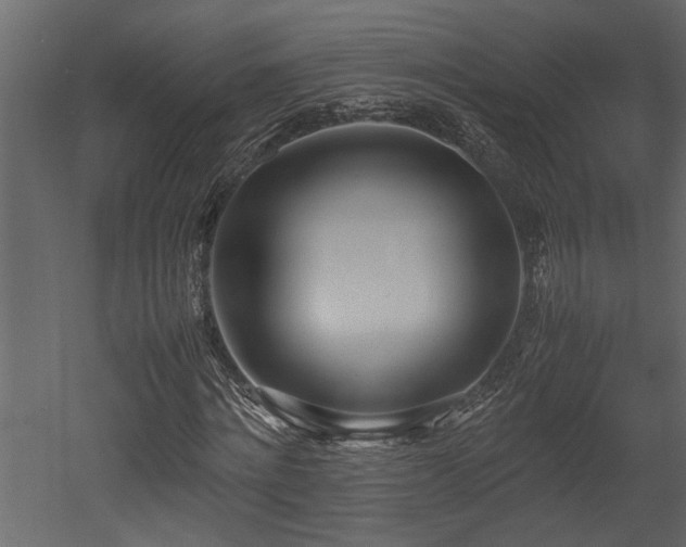 X0000052990868200507081146