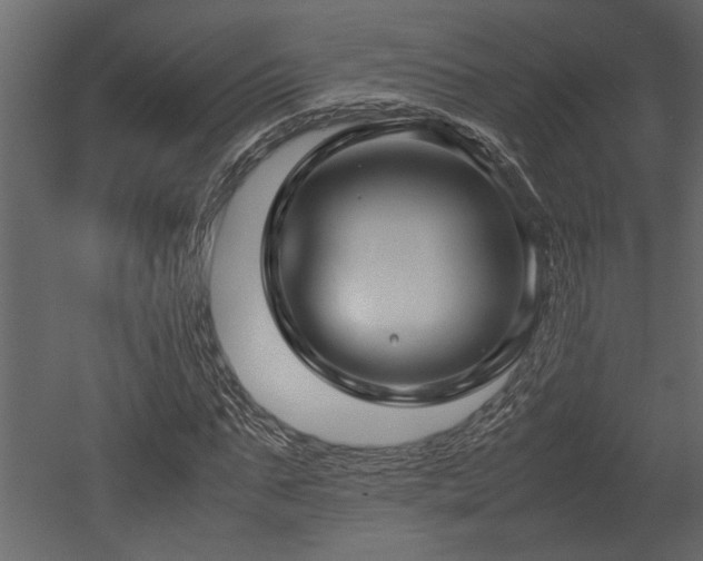 X0000052990871200507081146