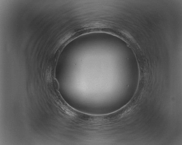 X0000052990873200507081146