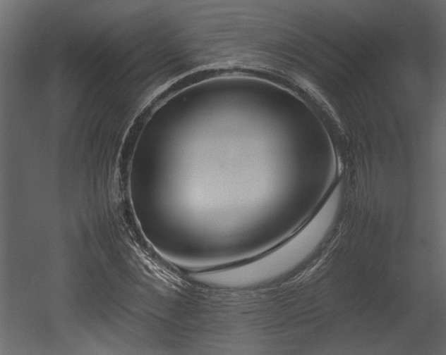 X0000052990876200507081146