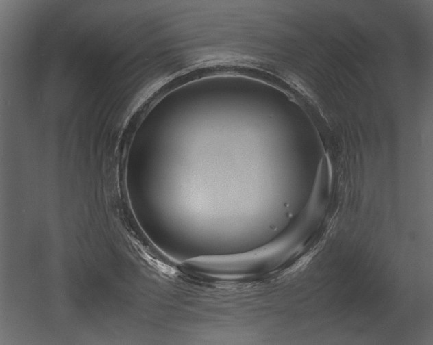 X0000052990877200507081146