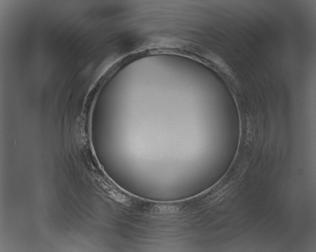 X0000052990878200507081146