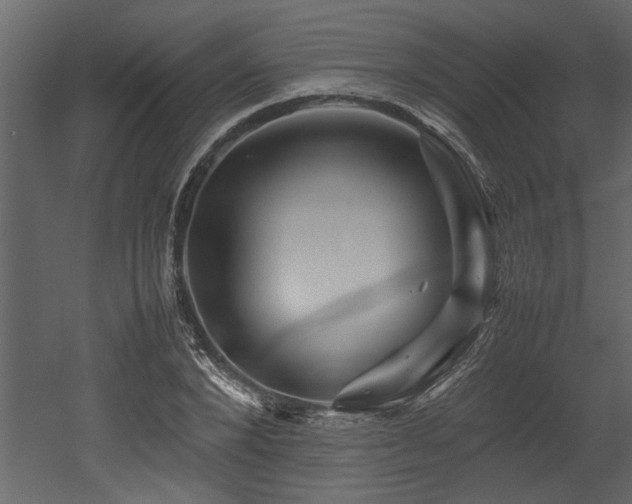 X0000052990880200507081146