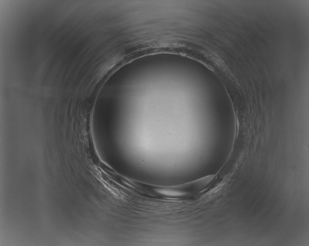 X0000052990881200507081146