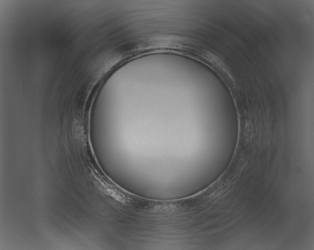 X0000052990882200507081146