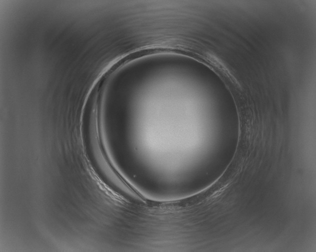 X0000052990884200507081146