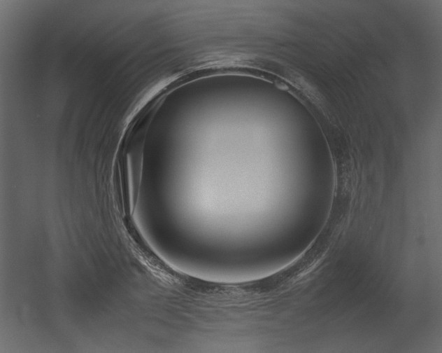 X0000052990885200507081146
