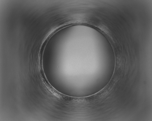X0000052990886200507081146