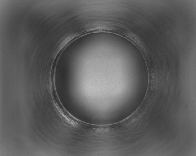X0000052990890200507081146