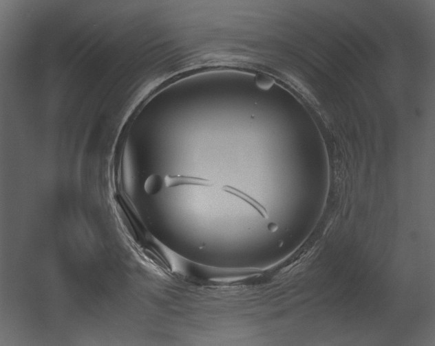 X0000052990891200507081146