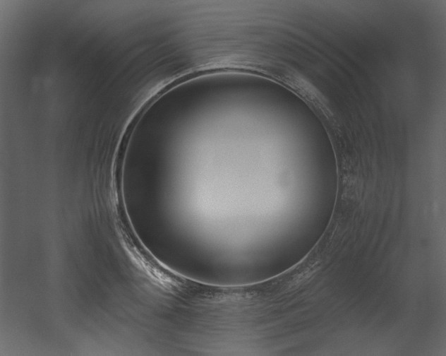 X0000052990892200507081146