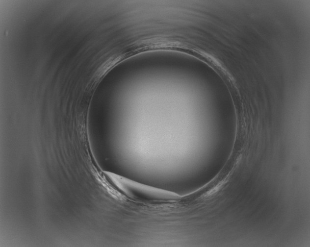 X0000052990897200507081146