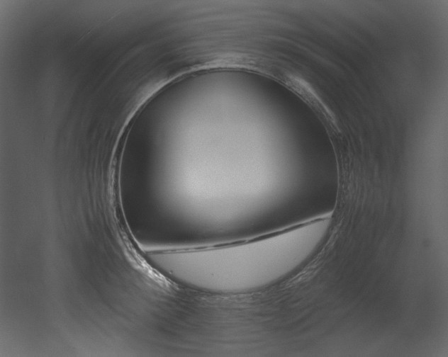 X0000052990900200507081146