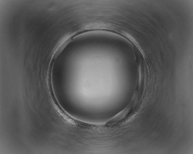 X0000052990901200507081146