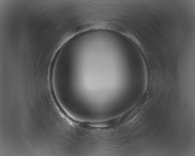 X0000052990902200507081146
