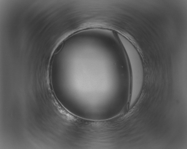 X0000052990904200507081146