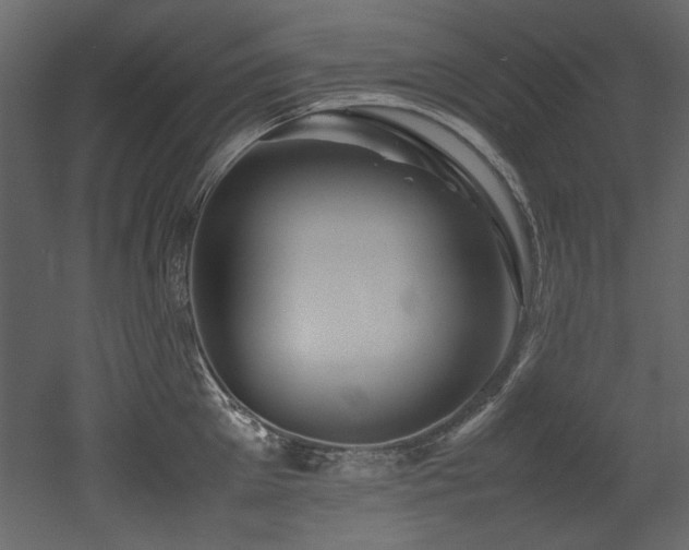 X0000052990905200507081146
