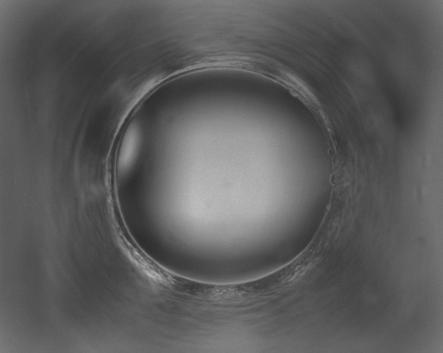 X0000052990907200507081146