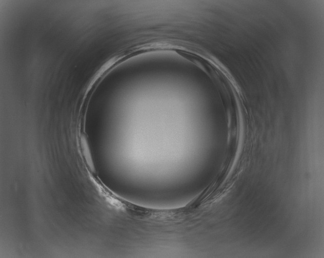 X0000052990909200507081146
