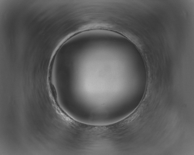 X0000052990912200507081146