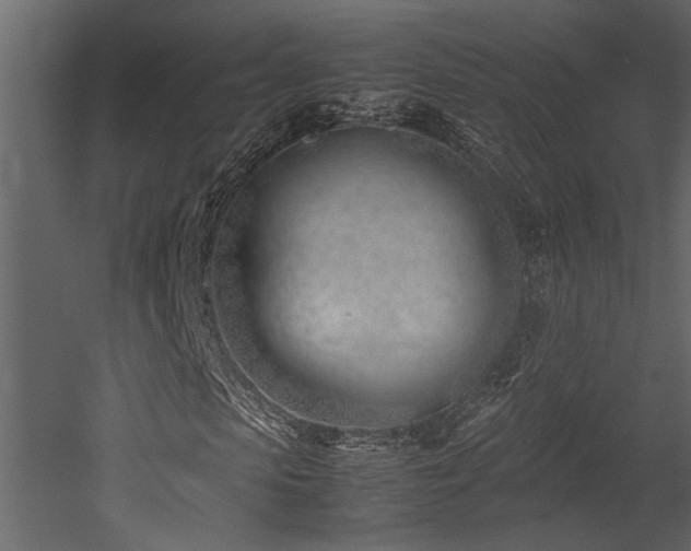 X0000052990913200507081145