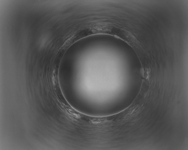 X0000052990915200507081145