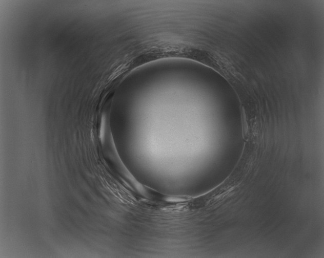 X0000052990916200507081145