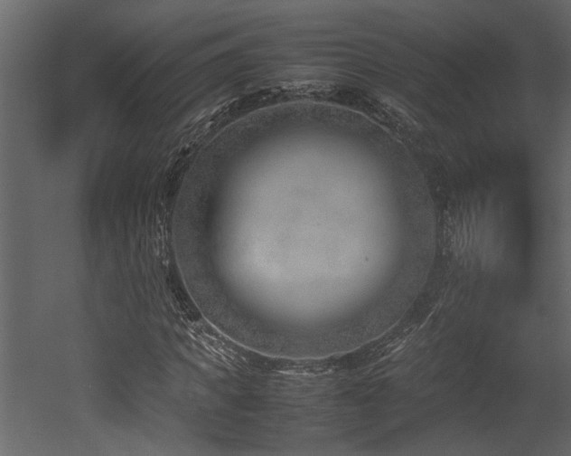 X0000052990917200507081145