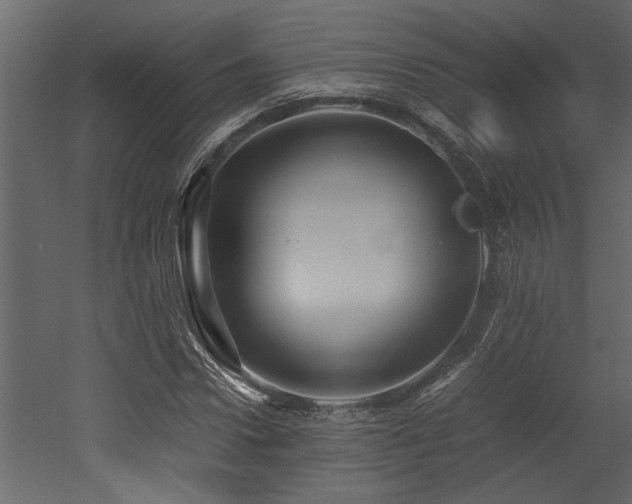 X0000052990922200507081145