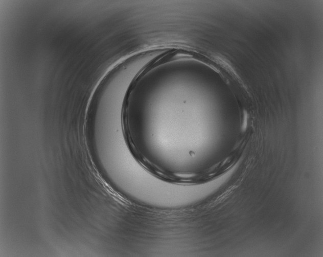 X0000052990924200507081145