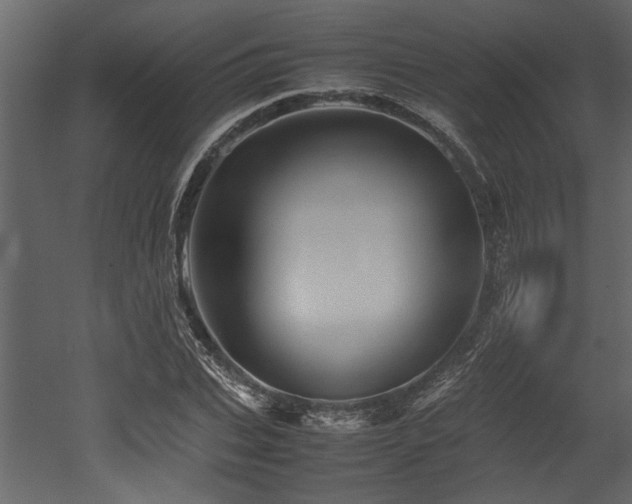 X0000052990927200507081145